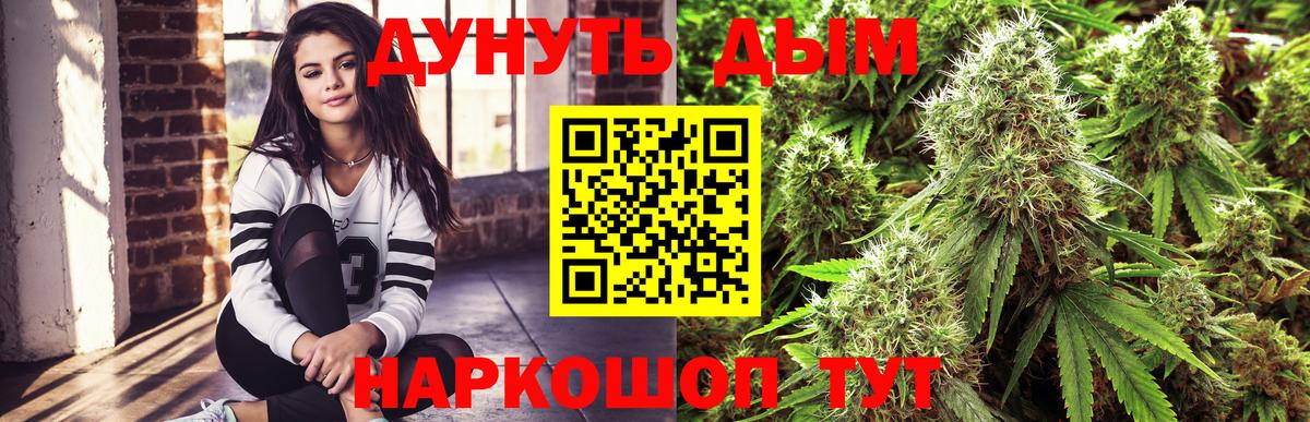 Канабис семена Грязи